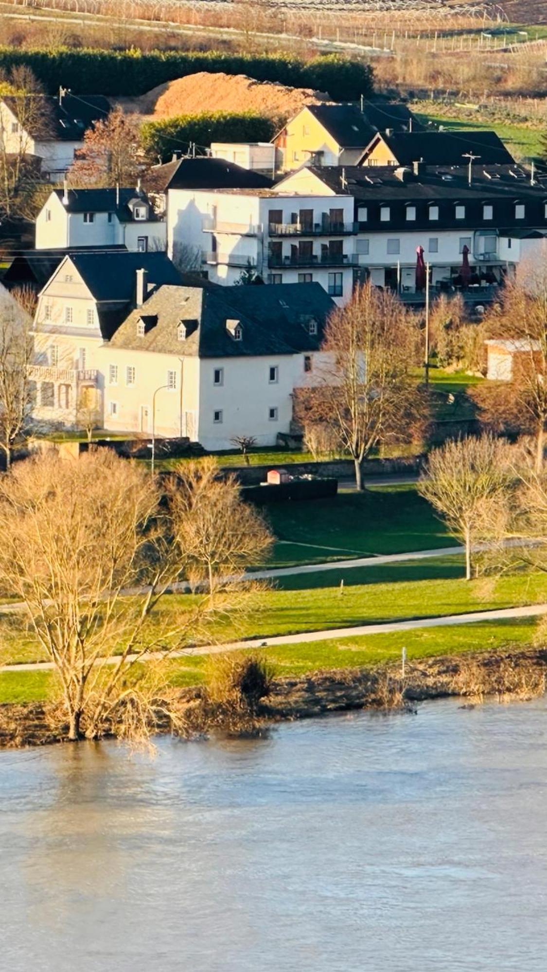 Gut Foersterlay - Exklusive Boutique Apartments Im Historischen Winzerhaus Direkt An Der Mosel Losnich Ngoại thất bức ảnh